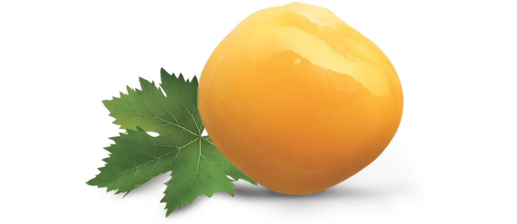Happy lupino.webp