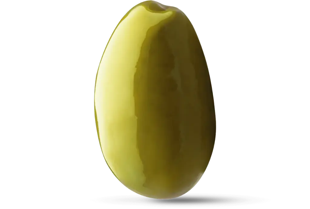 MadamaOliva_VBellaCerignola_3_O.webp