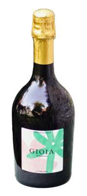 Introvigne Gioia Bianco Prosecco Trevisio DOC Ext. Dry 75 cl