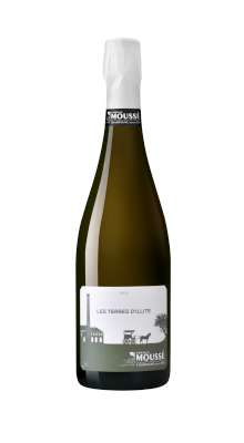 Famille Moussé Champagne Terre d'Illite 75cl